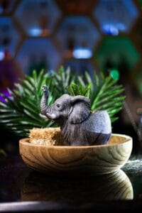 17376198 f07f 4777 a899 305738d9b7f3